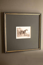 SET OF TWO FRAMED HORSES PRINT UNDER GLASS