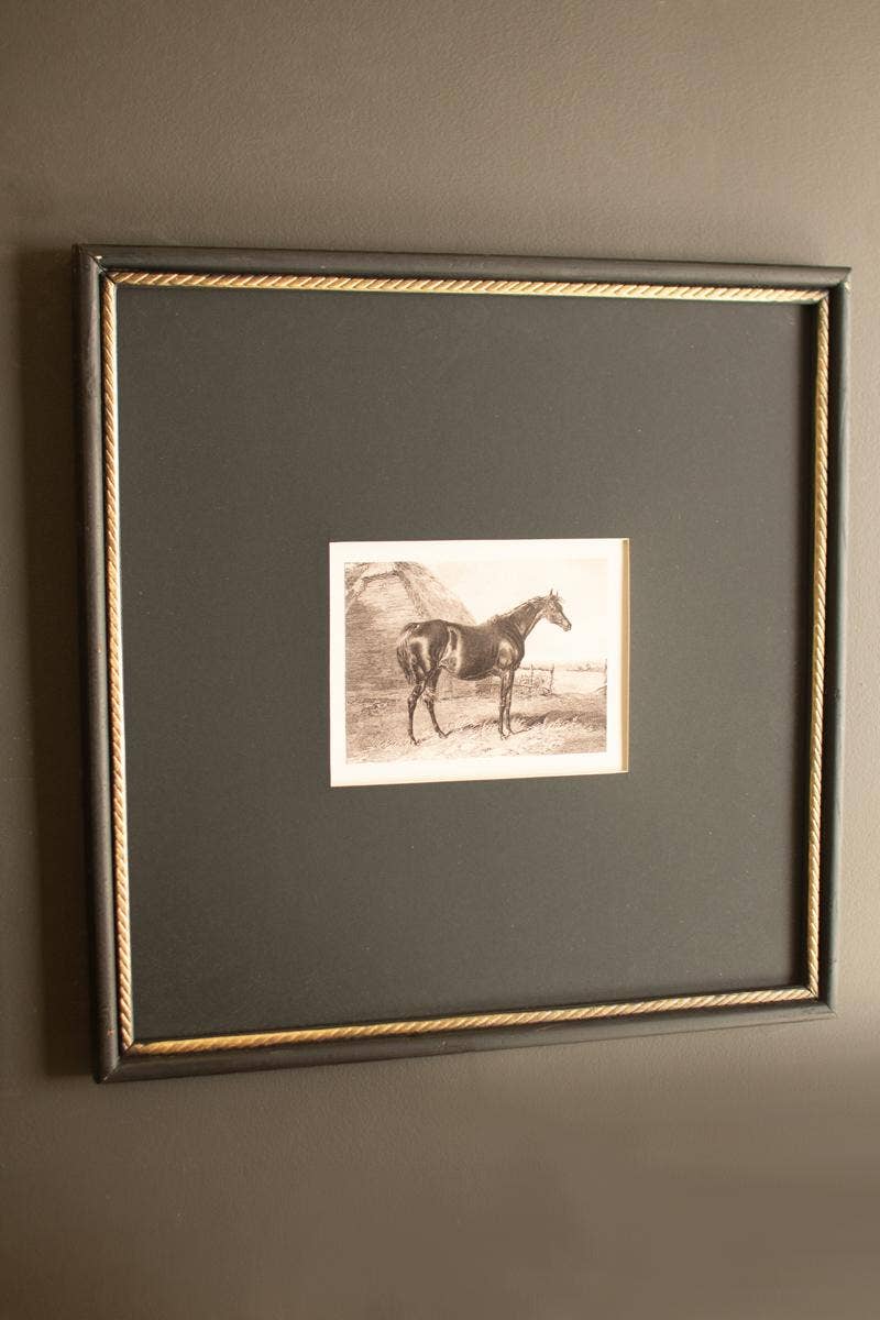SET OF TWO FRAMED HORSES PRINT UNDER GLASS