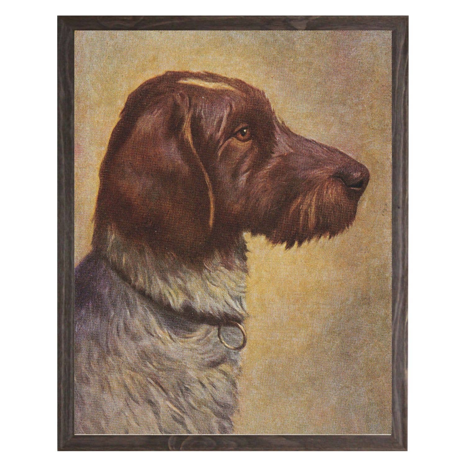 Vintage GSP dog